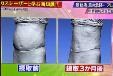 アケビダイエット3ヶ月の結果｜痩せなかったリアル体験レビュー