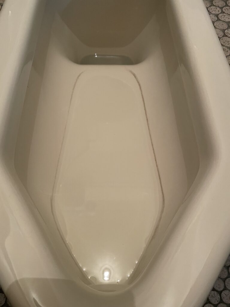 掃除前の便器の写真