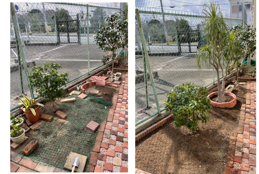 庭を含めた、植える前と後の写真